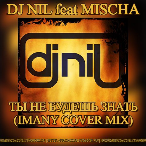 Dj Nil feat Mischa -     (Imany Cover Mix).mp3