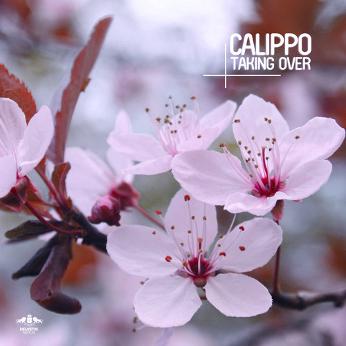 Calippo - Taking Over (Original Mix).mp3