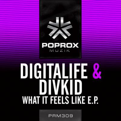 Divkid & Digitalife vs. Andrew Masta - What It Feels Like (Andrew Masta Remix) [2013]