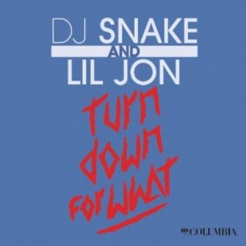 DJ Snake x Lil Jon - Turn Down For What.mp3