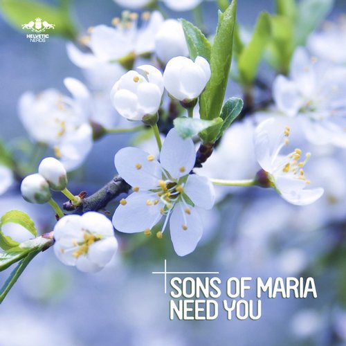 Sons Of Maria - Need You (Original Mix).mp3