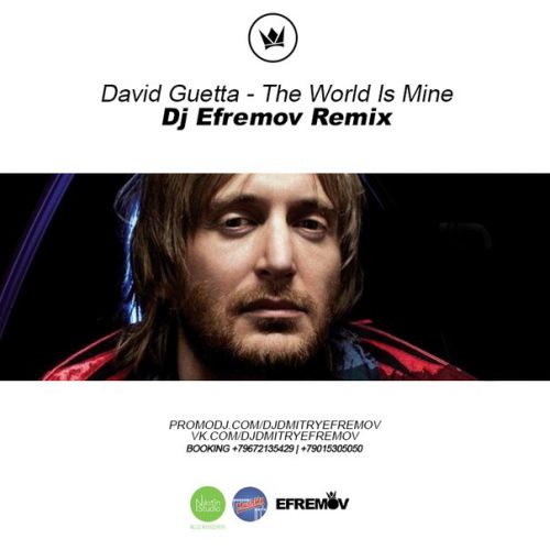 David Guetta - The World Is Mine (Dj Efremov Remix) [2014]