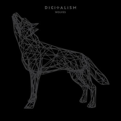 Digitalism - Wolves (Original Mix).mp3