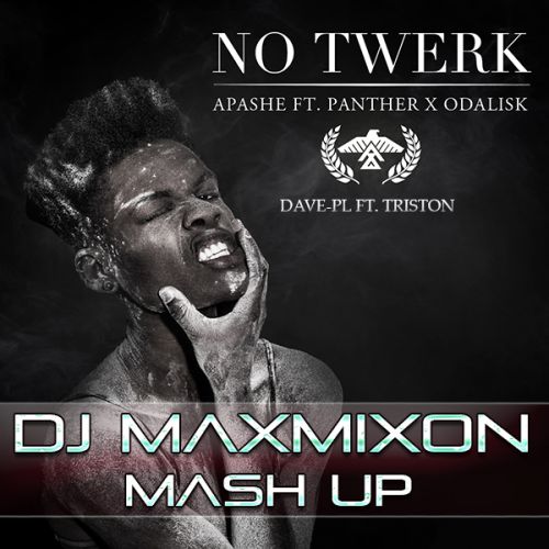 Apashe feat. Panther vs. Odalisk - No Twerk (Maxmixon Mash Up) [2014]