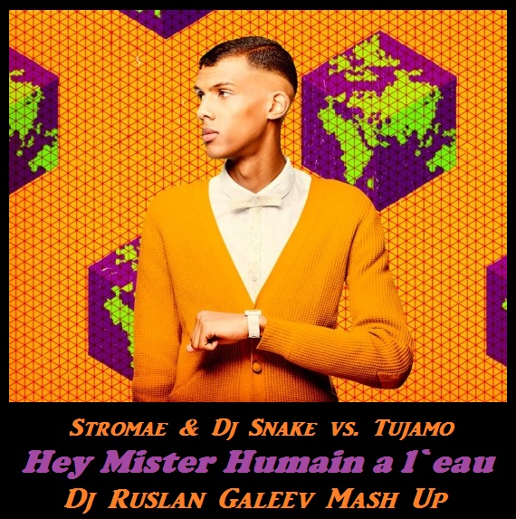 Stromae & Dj Snake vs. Tujamo-Hey Mister Humain a l`eau (Dj Ruslan Galeev Mash Up) [2014]