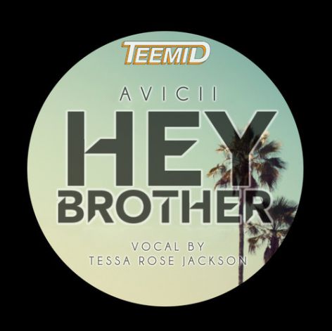 Avicii - Hey Brother (Teemid Feat.Tessa Rose Jackson Cover).mp3