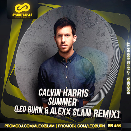 Calvin Harris - Summer (Leo Burn & Alexx Slam Remix).mp3