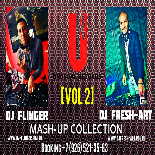 DJ Flinger & DJ Fresh-Art - Mash-Up Collection Vol.2 [2014]