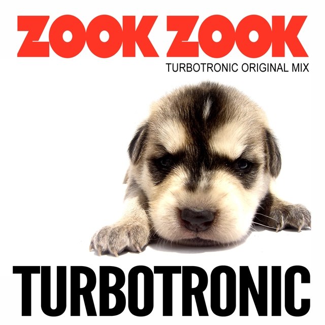 Turbotronic - Zook Zook (Extended Mix) [2014]