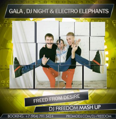 Gala feat. Dj Night & Electro Elephants - Freed From Desire (DJ Freedom Mash Up).mp3