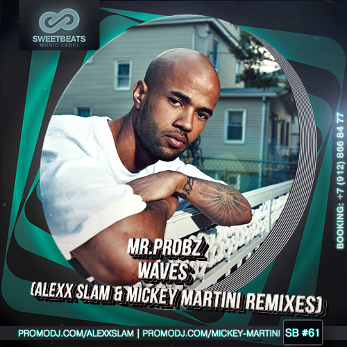 Mr.Probz - Waves (Alexx Slam & Mickey Martini Club Mix)