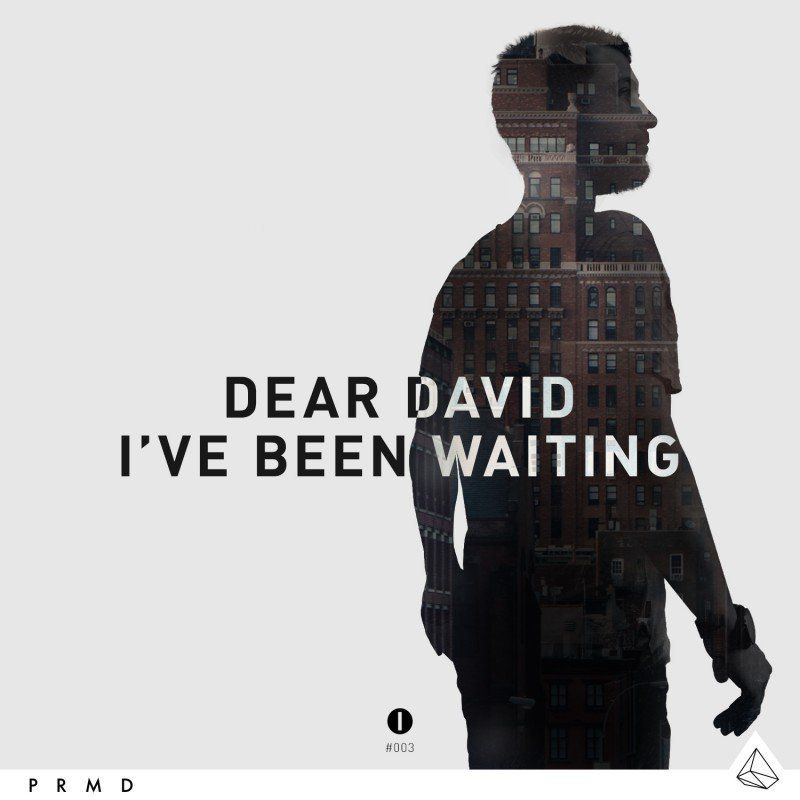 Dear David - I've Been Waiting (Original Mix)