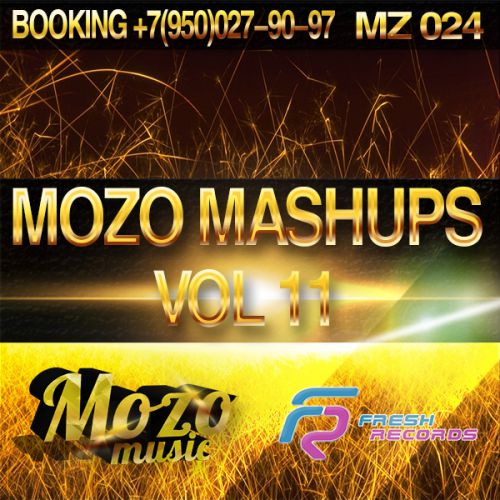 Mozo Mashup's Vol. 11 [2014]