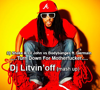 Dj Shake & Lil John vs. Bodybanges feat. Germain - Turn Down For Motherfucker (Dj Litvin'off Mash Up) [2014]