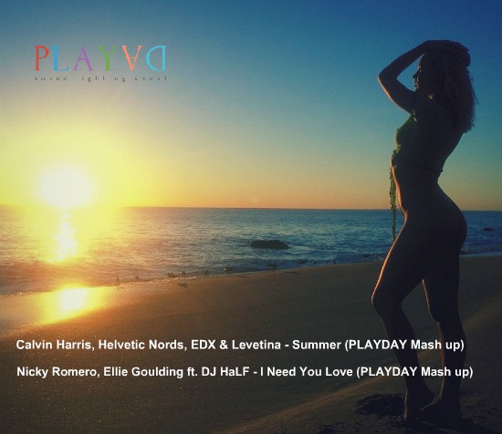 Nicky Romero, Ellie Goulding ft. DJ HaLF - I Need You Love (PLAYDAY Mash up).mp3