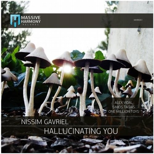 Nissim Gavriel - Hallucinating You (Alex Vidal Remix) [2014]