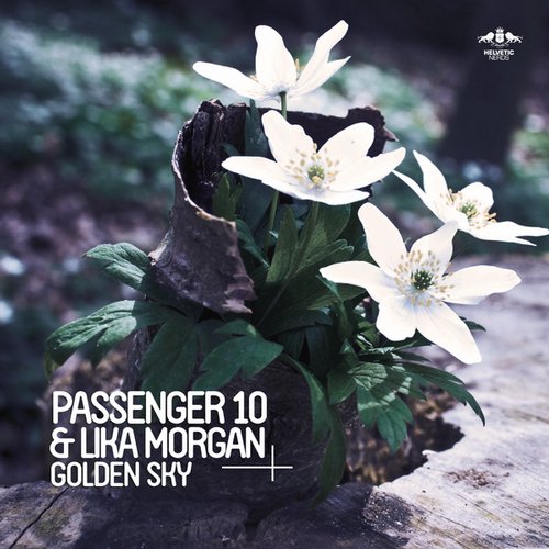 Passenger 10 & Lika Morgan - Golden Sky (Original Mix) .mp3