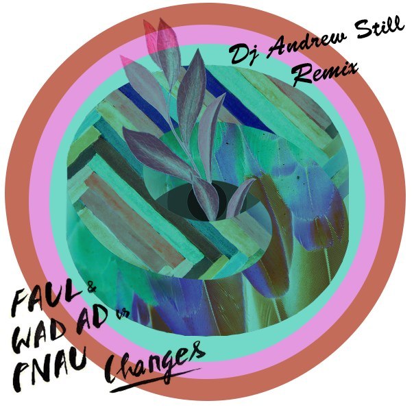 Faul Wad Ad vs. Pnau - Changes (Dj Andrew Still Remix).mp3