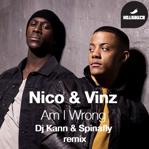 Nico & Vinz - Am I Wrong (Dj Kann & Spinafly Radio Edit).mp3