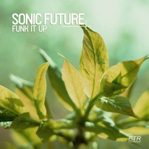 Sonic Future  Funk It Up (Thomaz Krauze Remix).mp3