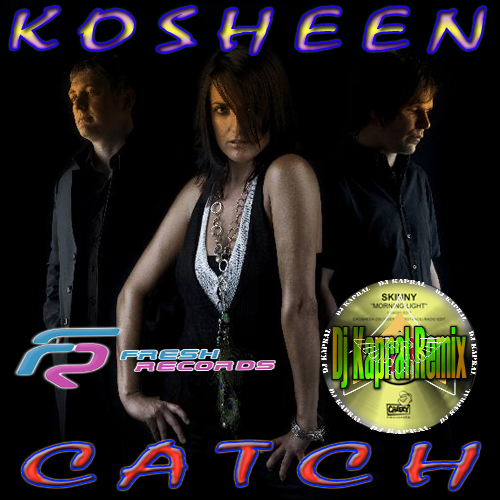 Kosheen  Catch (Dj Kapral Remix).mp3