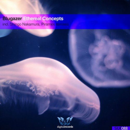 Blugazer - Ethereal Concepts (Shingo Nakamura Remix) [2014]