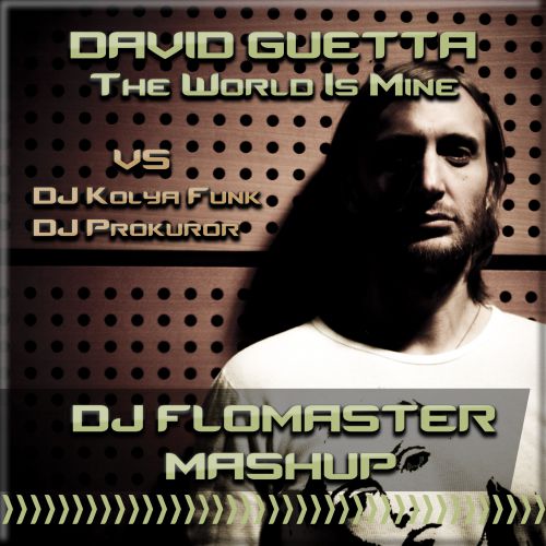 David Guetta vs. DJ Kolya Funk & DJ Prokuror - The World Is Mine (DJ Flomaster Mashup) [2014]