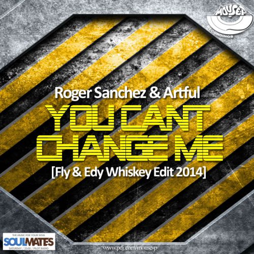 Roger Sanchez & Artful - You Cant Change Me (Fly & Edy Whiskey Edit 2014).mp3