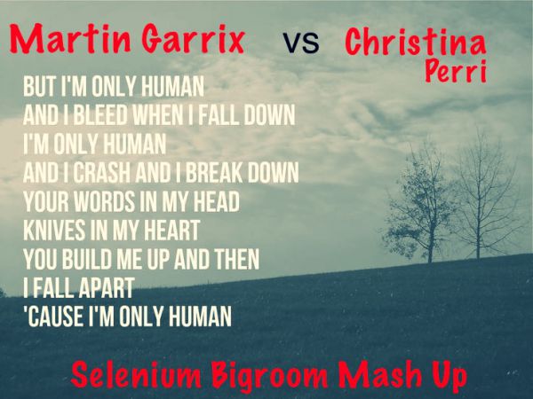 Martin Garrix vs. Edx & Christina Perri - Human Virus (Selenium Bigroom Mash Up) [2014]