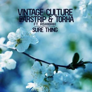 Vintage Culture, Earstrip & Torha feat. Ashibah - Sure Thing  (Original Mix).mp3