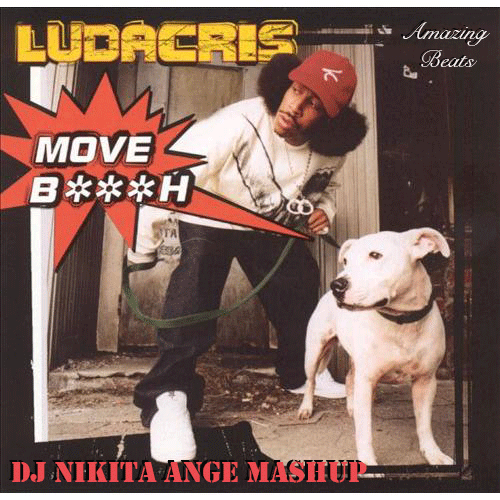 Ludacris x Killagraham x DJ Kolya Funk & DJ Kolya Dark - Move Bitch 2k15 (DJ Nikita Ange Mashup) [2014]