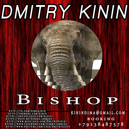 Dmitry Kinin - Bishop (Original Mix) [2014]
