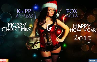 Knippi Fox -  Merry Christmas and A Happy New Year 2015 [2014]