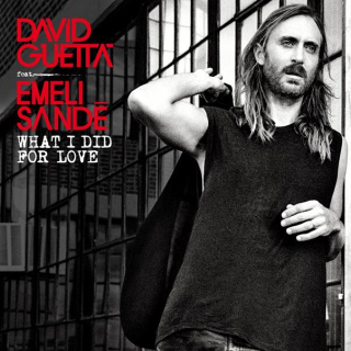 David Guetta feat. Emeli Sande - What I Did For Love (David Guetta & Morten Remix).mp3