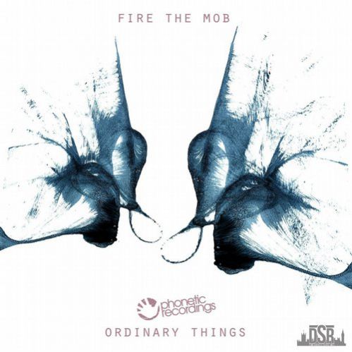 Fire The Mob - Ordinary Things (Original Mix).mp3