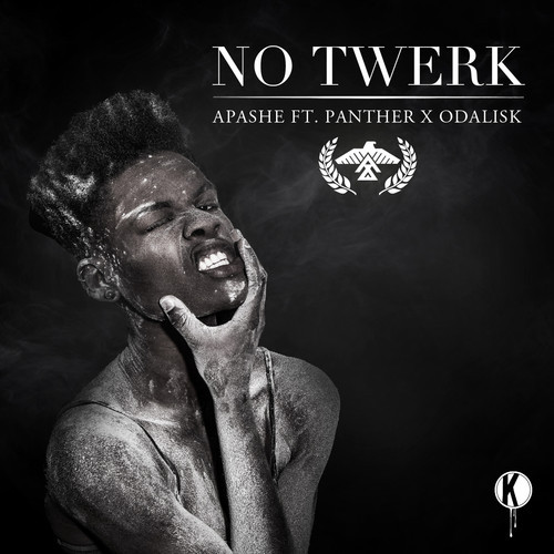 Apashe feat. Panther & Odalisk vs. Daddys Groove  No Twerk Big Love Bass (DJ Iney & CJ Mak Mash-Up).mp3