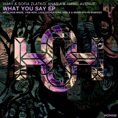 Ammo Avenue, Anas.A, Sofia Zlatko, Vijay - What You Say (Middletoyz, Rod B. Remix).mp3