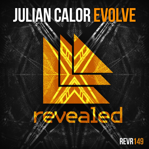Julian Calor - Evolve (Original Mix).mp3
