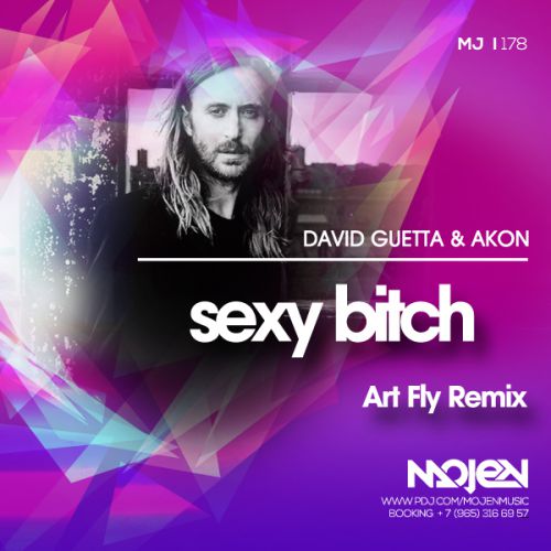 David Guetta & Akon - Sexy Bitch (Art Fly Remix)[MOJEN Music].mp3