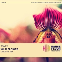 Tom X - Wild Flower (Original Mix).mp3