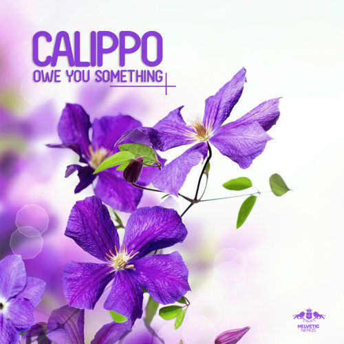 Calippo - How's Your Body (Original Mix).mp3