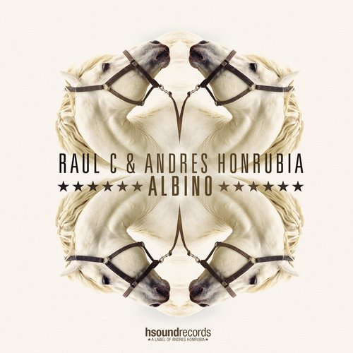Raul C, Andres Honrubia - Albino (club mix).mp3