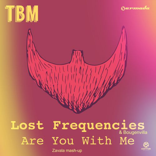 Lost Frequencies & Bougenvilla  - Are You With Me (Zavala mash-up).mp3