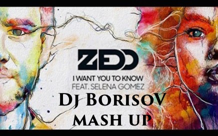 Zedd & Selena Gomez vs DJ Kolya Funk   I Want You To Know (Dj BorisoV mash up).mp3