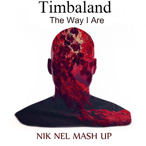 Timbaland vs. Joe Maz Adam Foster - The Way I Are(Nik Nel Mash Up).mp3