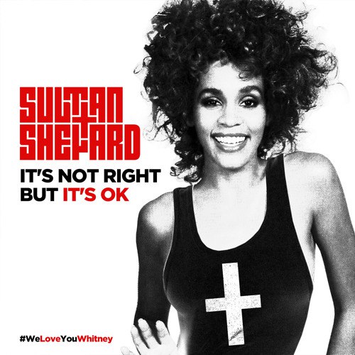 Sultan + Shepard vs. Whitney Houston - It's Not Right, But It's Okay (Original Mix).mp3