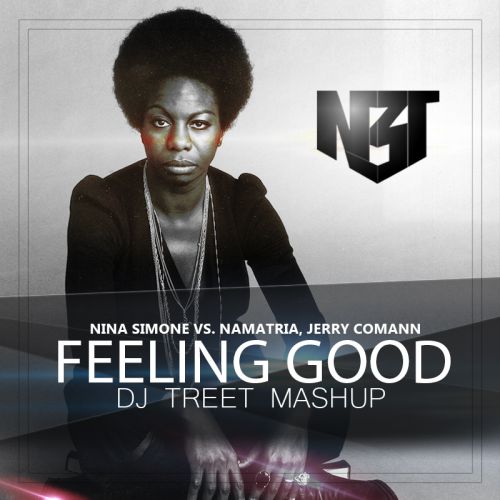 Nina Simone vs. Namatria, Jerry Comann - Feeling Good (Dj Treet Mash Up) [2015]