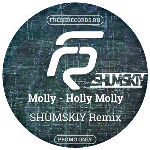 Molly - Holly Molly (SHUMSKIY remix).mp3