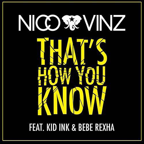 Nico & Vinz - Thats How You Know feat. Kid Ink Bebe Rexha ((F'D up Version).wav