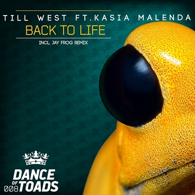 Till West feat. Kasia Malenda - Back To Life (Original Mix).mp3